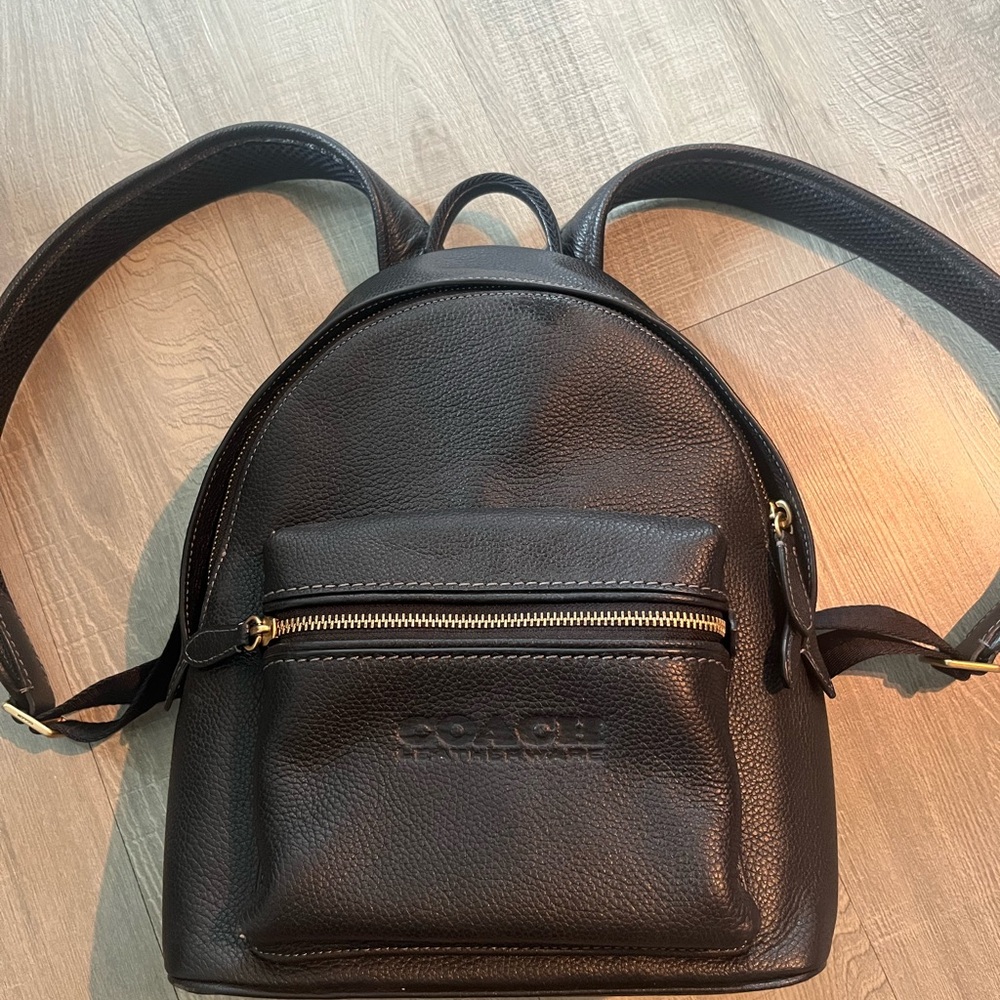 COACH Charter Leather Backpack 24 / C8472